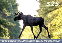2027 Wildlife Calendar